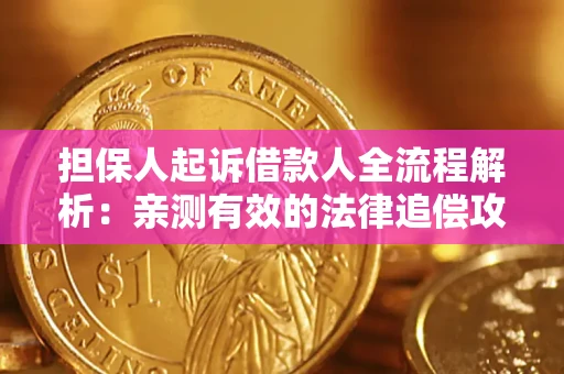 武汉担保人起诉借款人全流程解析：亲测有效的法律追偿攻略