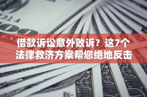 武汉借款诉讼意外败诉？这7个法律救济方案帮您绝地反击！