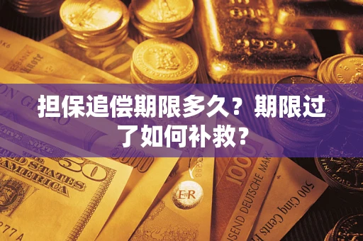 武汉担保追偿期限多久？期限过了如何补救？