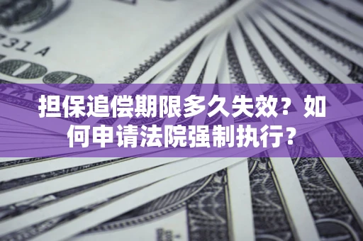 武汉担保追偿期限多久失效？如何申请法院强制执行？