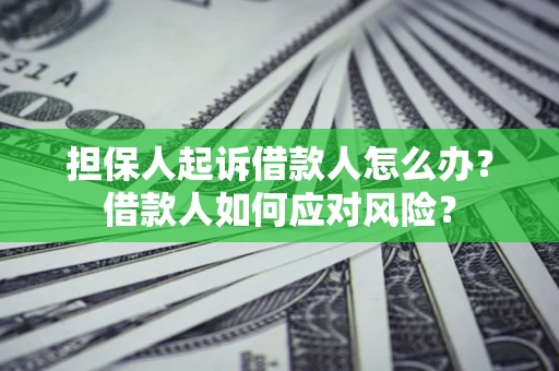 武汉担保人起诉借款人怎么办？借款人如何应对风险？