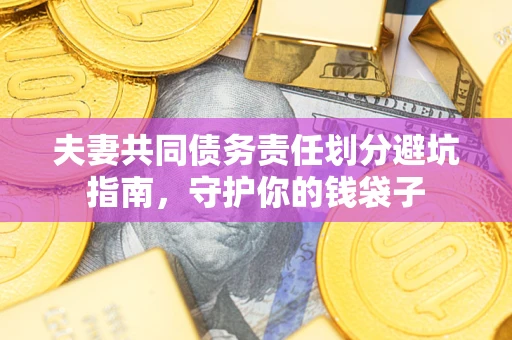 武汉夫妻共同债务责任划分避坑指南，守护你的钱袋子