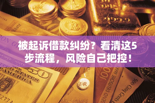 武汉被起诉借款纠纷？看清这5步流程，风险自己把控！