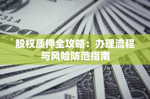 武汉股权质押全攻略：办理流程与风险防范指南